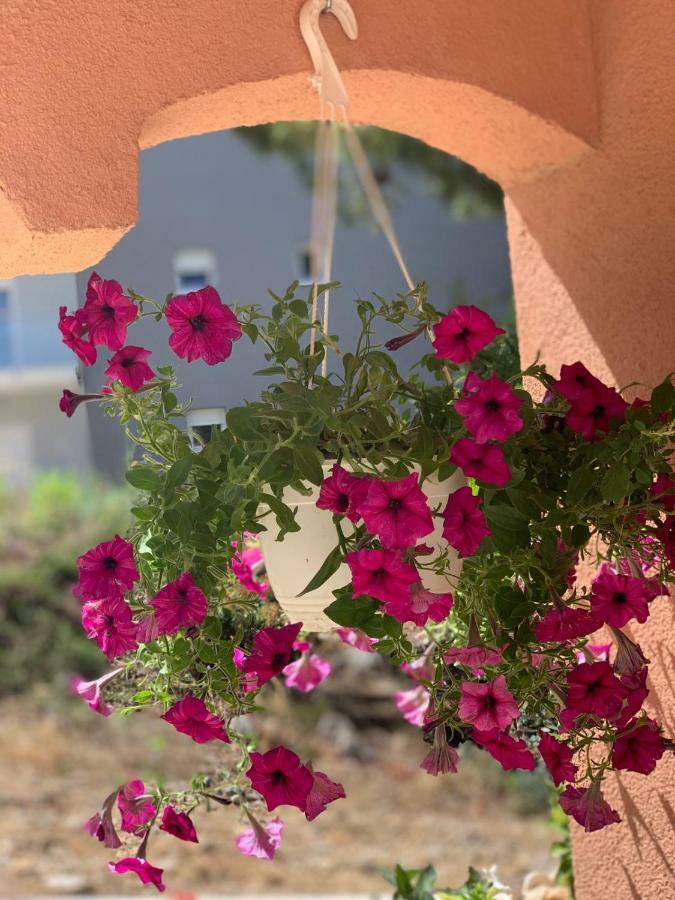 Apartments Villa Zica Trogir Ngoại thất bức ảnh